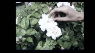 Jacques Greene - On Your Side ft How To Dress Well (Official Music Video)