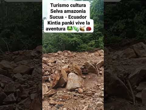 visite amazonia sucua morona Santiago Ecuador, vive la cultura y aventura 🐸🐸🛖😂🙏🐝🦎👇👇👇👇