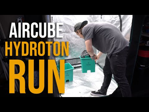 Automated Hydroton Ebb & Flow - New Run