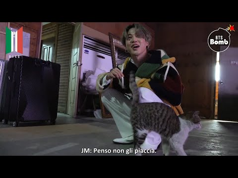 [SUB ITA] 210120 BANGTAN BOMB - You Have a Meow-sitor! - BTS (방탄소년단)