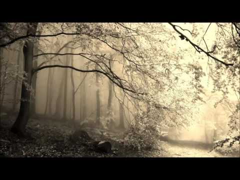Federico Monachesi: Steaming Forests (Nicolas Rada Remix)