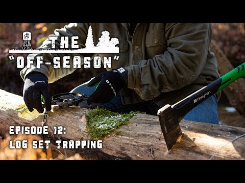 The "Off-Season" | S2 : E12 | Log Set Trapping