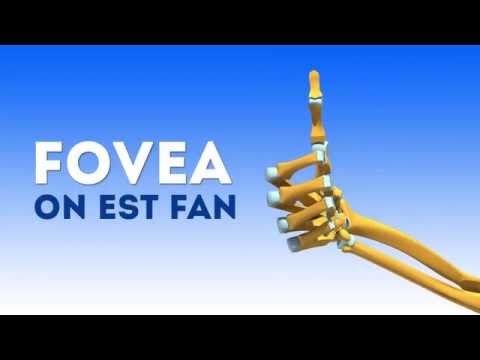 comment soigner spina bifida