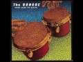 The Bongos - The Bulrushes - 1981