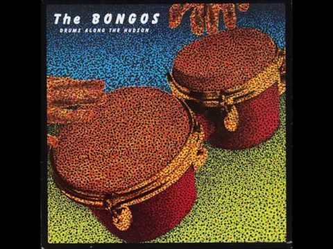 The Bongos - The Bulrushes - 1981