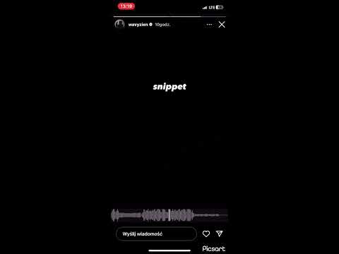 Snippet wavyzien