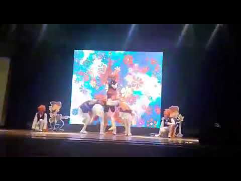 Shabai shabai (shigmoutsav) Goa