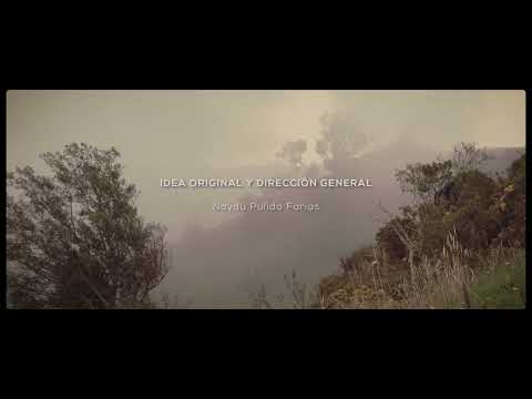 NO SOMOS UNO — videodanza
