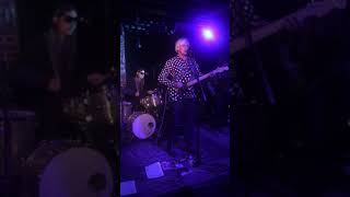 Robyn Hitchcock - I often Dream of Trains/Acid Bird