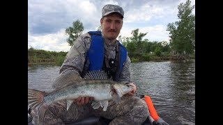 Рыбалка в татарстане на каме берсут