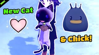 Silkie Chick & Siamese Cat - Story of seasons grand bazzar