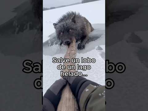 Dejo que se queden? ❤️