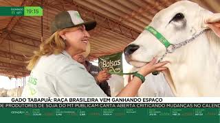 Miniatura do vídeo