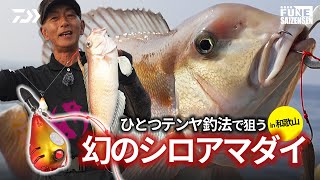 アマダイ テンヤ入門 タックルと釣り方解説