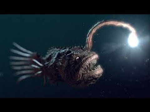 HIDDEN PREDATORS HUNTING - Sneakiest Animals On The Planet [Animal Nature Documentary]