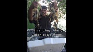 preview picture of video 'MEMANCING UDANG GALAH DI SUNGAI MUAR'