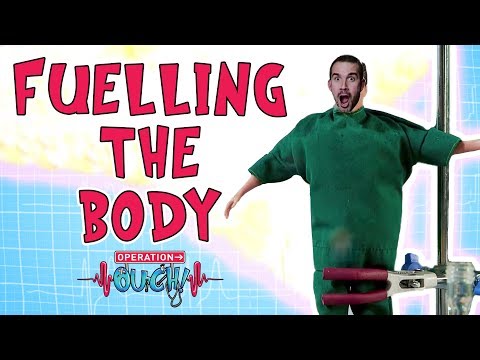 Operation Ouch - Fuelling the Body | Science for Kids