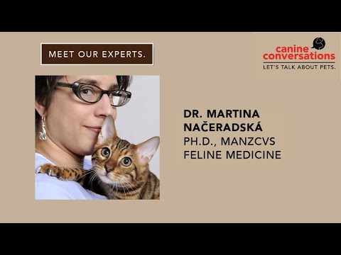 Canine Conversations | How much protein should cats eat? Why it is important? Dr. Martina Načeradská