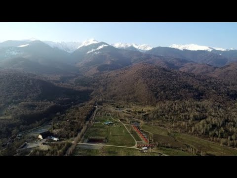 ALBOTA - De la ferma la farfurie!