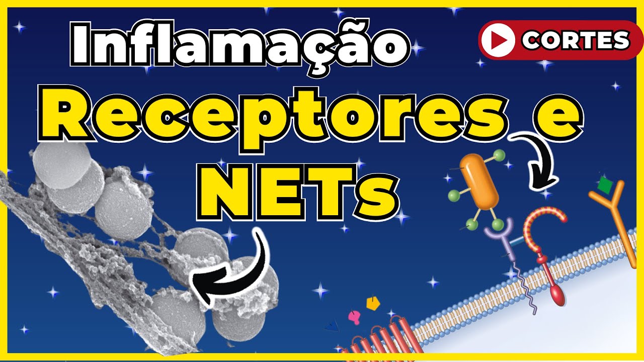 Inflamação - Armadilhas extracelulares (NETs) e Receptores de ativação das células inflamatórias