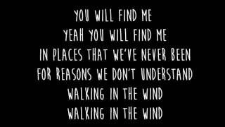 One Direction - Walking In The Wind (original audio + lyrics)