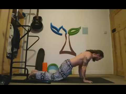 Knee-Chest-Chin - Chaturanga Dandasana - Yoga - Earth Dominion