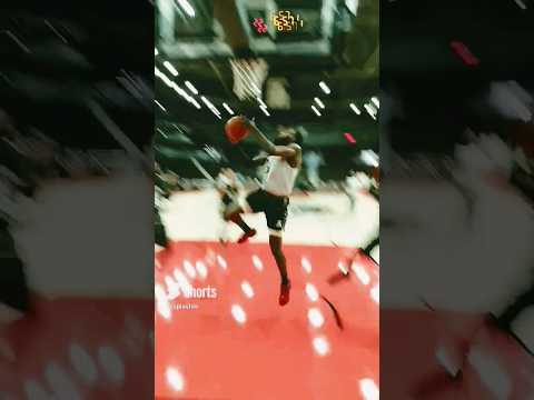 Raptors 905 Court Basketball
