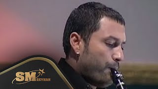 Hüsnü Şenlendirici - Sevda Değil