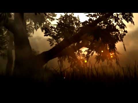 Capo Productions  Soothing and Relaxing Music   Illusions