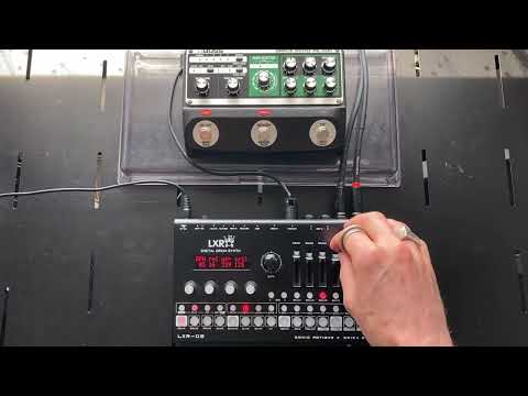ERICA SYNTHS LXR-02 & BOSS RE-202 SPACE ECHO DUB