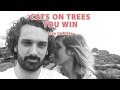 You Win - Cats On Trees en LIVE @ Arles 