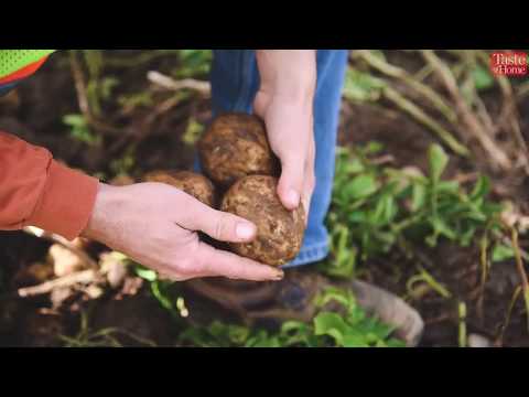 download lagu mp3 mp4 Tortilla Chips Made With Avocado Oil, download lagu Tortilla Chips Made With Avocado Oil gratis, unduh video klip Tortilla Chips Made With Avocado Oil