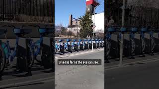 In Williamsburg, Brooklyn, bikes as far as the eye can see 👀 🚲🚲🚲🚲🚲👀