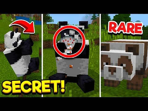 How To Cure Sick Pandas In Minecraft 01 2022