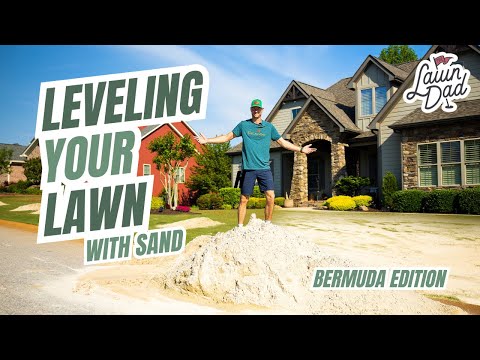 Leveling your Bermuda lawn with SAND the easy way