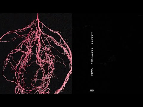 LeRoyce - Roots (feat. ScottyMay)