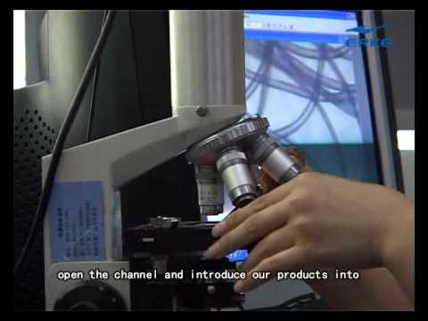 ERKE Olympic Strategy.mp4