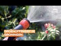 Groenoffensief gemeente Groningen: Heuse tegeltaxichauffeur ingeschakeld
