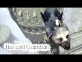 The Last Guardian 8 Ajudando Trico ps4 Pro Gameplay Por