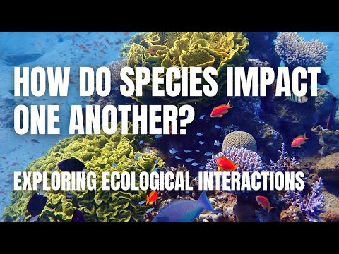 Ecological Interactions: How Species Shape Each Other's Lives | Middle School Science