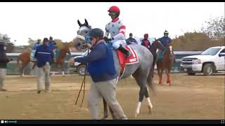 R1- AQUEDUCT-USA ON 07 NOV | HORSERACING DRAMA: UNDER-RATED FILLY DESTROYS FAVOURITES! AQUEDUCT 2025