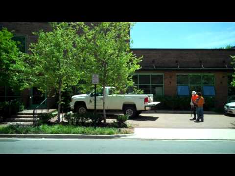 Rootwell Overview by ProArbor Tree Care, Virginia