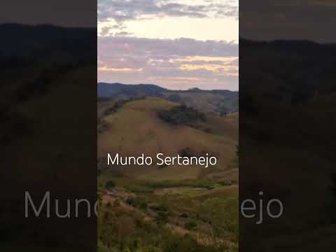 Alto do Rio Doce/MG #mundosertanejo #cavalo #sertanejobrasileiro #fazenda #minasgerais #pordosol