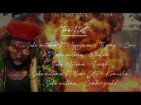 Seke Mutema -Zvinhu Zvako [Zimgirl]