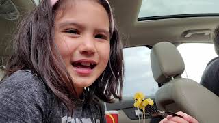 Kid's Food Review: Noodles and Company