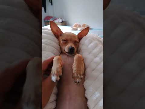 primero video 😙😀🫰🏻