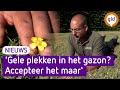 Droog, droger, droogst.. in de tuinen van Gelderland
