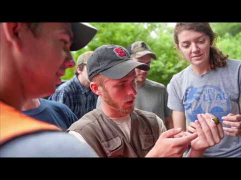 Conservational  biologist