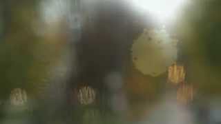 Chip Away the Stone JONNY POLONSKY