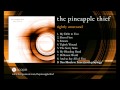 The Pineapple Thief - Too Much to Lose (from ...